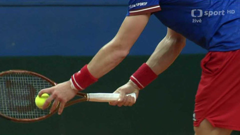 Davis Cup - Portugalsko - Česko