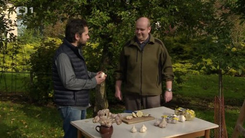 Polopatě - 9. listopadu 2014