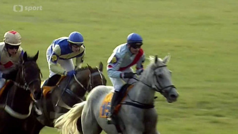 Velká pardubická - 2008