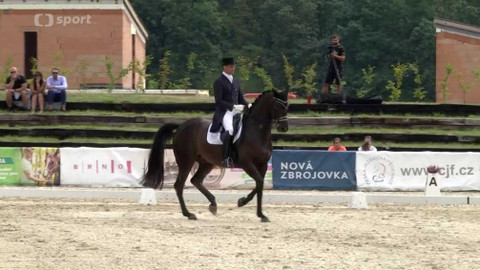 Jezdectví - Mezinárodní parkurové závody CSI-W Olomouc