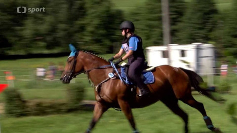 Jezdectví - M ČR ve všestrannosti Borová