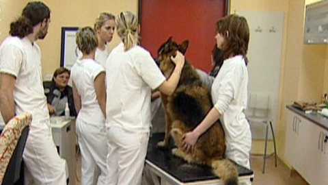 Chcete mě? - 11. září 2009