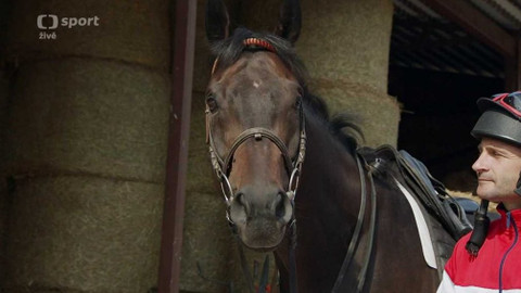 Velká pardubická - 130. Velká pardubická se Slavia pojišťovnou