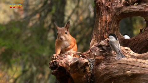 Zprávičky - 25. října