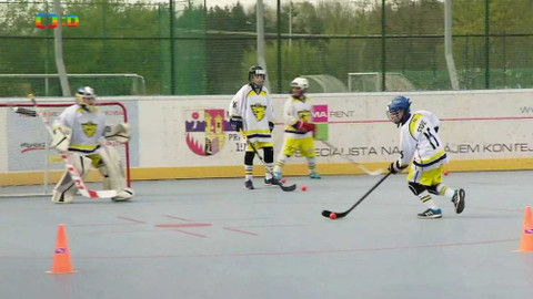 Lvíčata - 6. května 2017