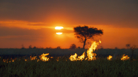 Serengeti - 5/6 Serengeti