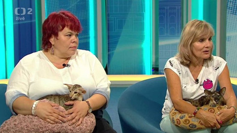 Dobré ráno - 2. srpna 2018