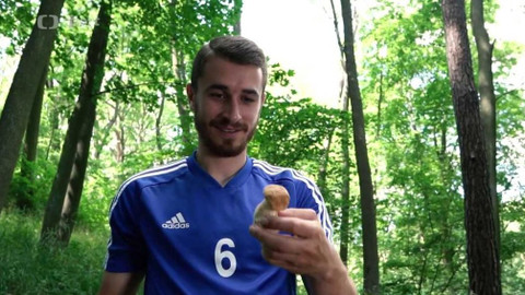 Studio fotbal - Extra