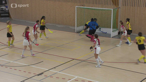 Hokej na zemi - 31. ledna