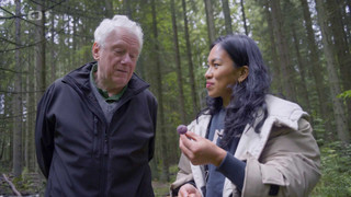 Zpátky do přírody