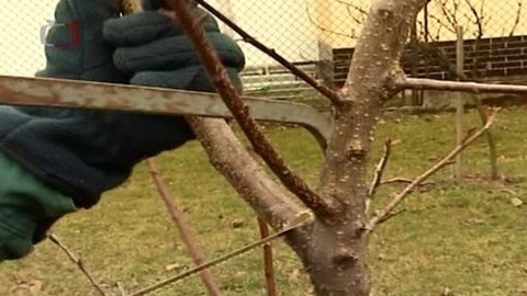 Zahrada je hra - 6. března 2008