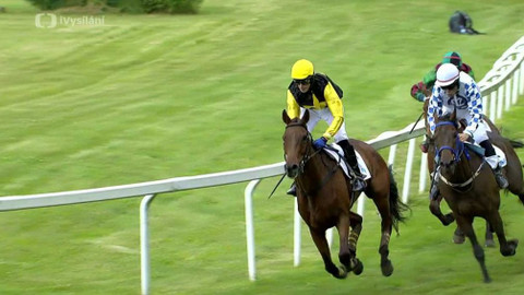 Dostihy - II. kvalifikace na 131. Velkou pardubickou se Slavia pojišťovnou