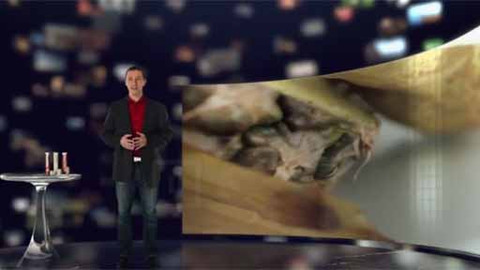 Tajemství zdravého života - 11/100 Hitparáda vitamínu C