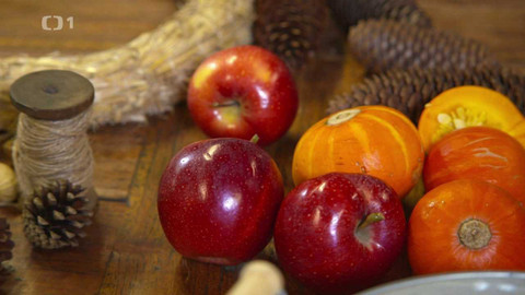 Polopatě - 29. října 2023