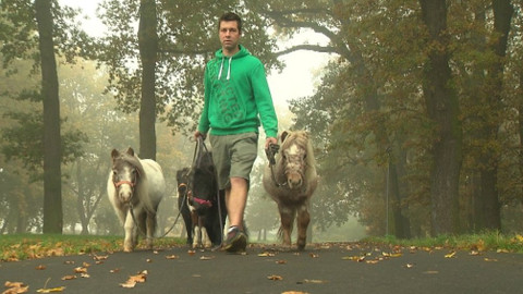 Chcete mě? - 1. dubna 2018