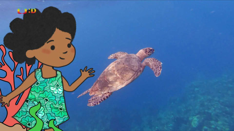 Velká kniha o zvířátkách - Epizoda 29/52