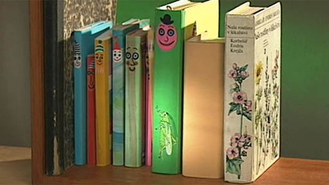 Kostičky - Knížka