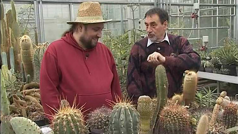 Zahrada je hra - 31. ledna 2008