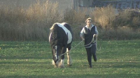 Chcete mě? - 2. prosince 2018
