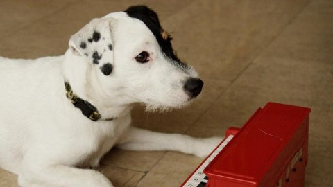 Mezi námi zvířaty - 21. listopadu 2009