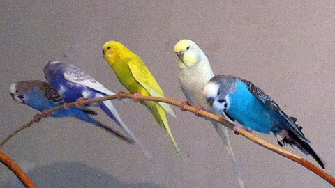 Máte mě! - 1. července 2012