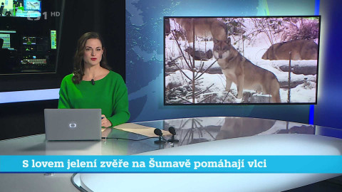 Události v regionech (jih a západ) - 10. ledna