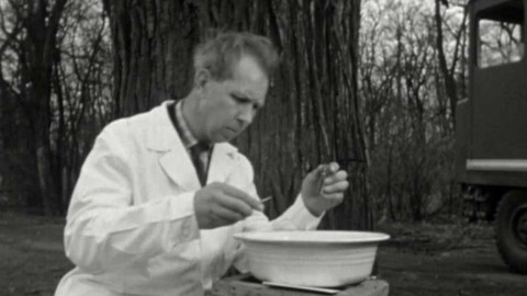 Krajové vysílání - Rytíři v černém - boj proti krtkům