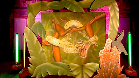 Divoké umění - 16/26 Křovinář ostnitý