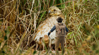 Andy a cesta kolem světa