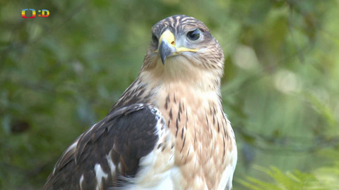 Zprávičky - 3. září