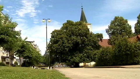 Kvarteto - 24. října 2012