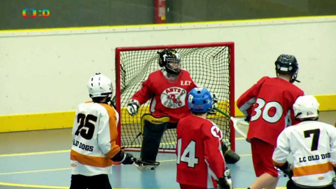 Lvíčata - 1. dubna 2017