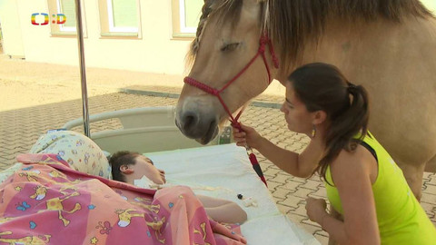 Zprávičky - 29. července 2023