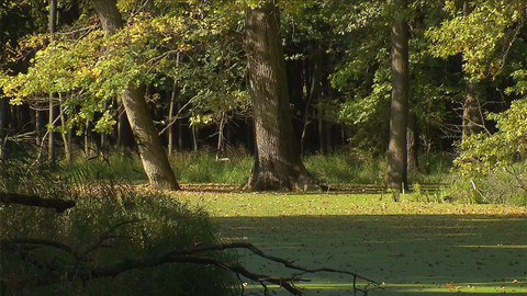 Nedej se! - Bitva o Moravskou Amazonii