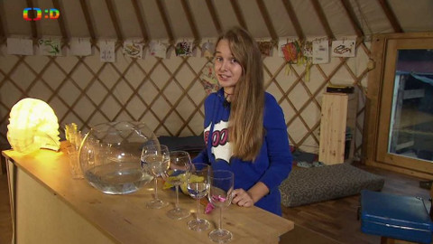 Wifina - 11. prosince 2015