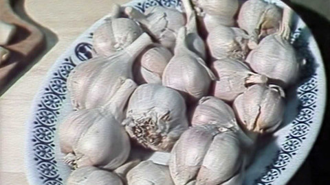 Archiv dne - 25. leden 1984: Česnek