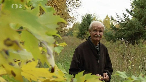 Babylon - Babylon - střihák