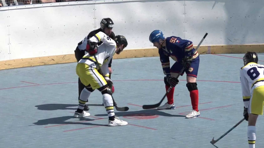 Hokejbalová extraliga mužů