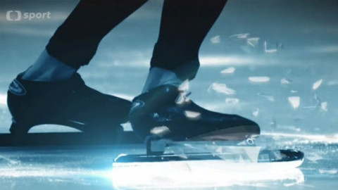 MS v rychlobruslení 2014 Nizozemsko