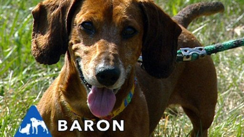 Chcete mě? - Chcete je?