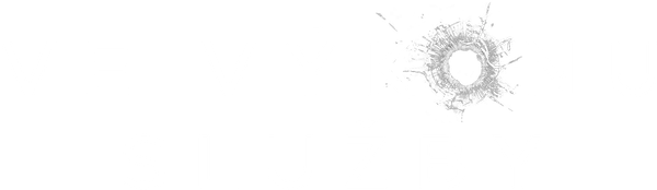 Ve výkonu služby