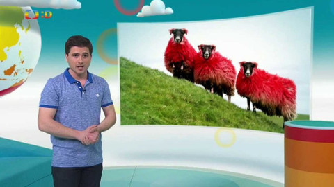 Zprávičky - 10. dubna 2017