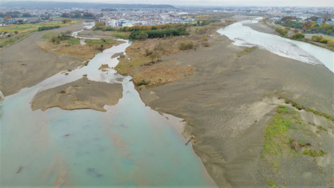 Darwinův úžasný svět zvířat - 5/13 Obnova po tajfunu