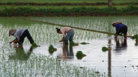Češi na misi - Svoboda ve Vietnamu