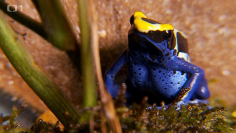 Toulavá kamera - 6. října 2019