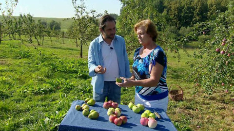 Polopatě - 2. října 2016