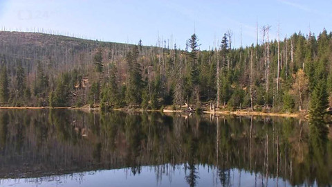 Regiony ČT24 - 7. ledna 2023