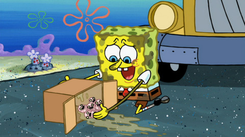 SpongeBob v kalhotách - Kdo chce červíčka/Ať žijí počítače