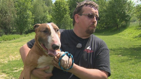 Chcete mě? - Chcete je?