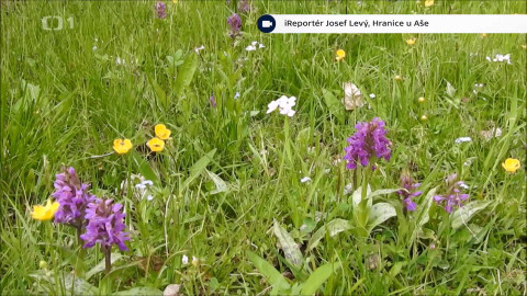 Místo iReportéra - 25. července